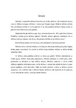 Referāts 'Reklāma', 3.