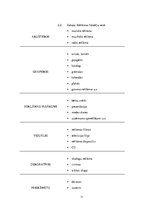 Referāts 'Reklāma', 11.