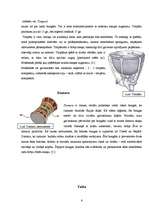 Referāts 'Bungu komplekts populārajā mūzikā', 6.