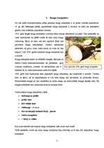 Referāts 'Bungu komplekts populārajā mūzikā', 11.