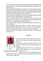 Referāts 'Bungu komplekts populārajā mūzikā', 13.