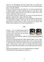 Referāts 'Bungu komplekts populārajā mūzikā', 14.