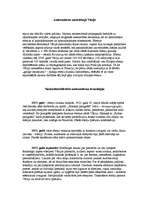 Referāts 'Holokausts', 4.