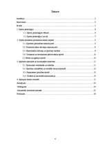 Referāts 'Sporta psiholoģijas nozīme rokasbumbā', 4.