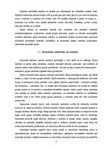 Referāts 'Sporta psiholoģijas nozīme rokasbumbā', 11.