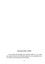 Referāts 'Sporta psiholoģijas nozīme rokasbumbā', 14.