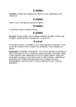 Prezentācija 'Amsterdamas līgums', 9.