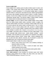 Konspekts 'Stratēģija inovatīvajā jomā', 2.