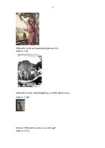 Referāts 'Ievērojami latvieši pasaulē. Aleksandrs Laime', 7.