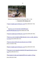 Referāts 'Ievērojami latvieši pasaulē. Aleksandrs Laime', 10.