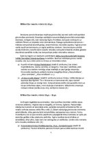 Referāts 'Mozaīku mākslas attīstība Bizantijā', 5.