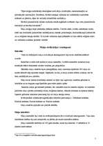 Referāts 'Maiju kultūra', 7.