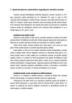 Prakses atskaite 'AAS Baltikums', 3.