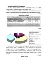 Prakses atskaite 'AAS Baltikums', 4.