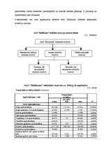 Prakses atskaite 'AAS Baltikums', 15.
