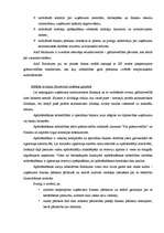 Prakses atskaite 'AAS Baltikums', 24.