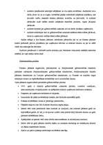 Prakses atskaite 'AAS Baltikums', 25.