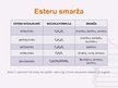 Prezentācija 'Esteri', 6.