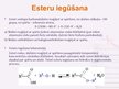 Prezentācija 'Esteri', 7.