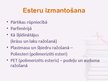 Prezentācija 'Esteri', 13.