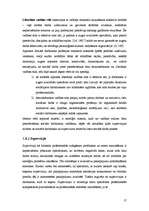 Referāts 'Sociālo darbinieku profesionālās darbības problēmas Latvijā', 17.