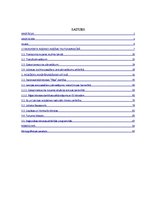 Diplomdarbs 'Pasažieru aviopārvadājumu attīstības iespējas Latvijā', 1.