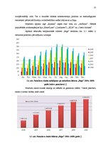 Diplomdarbs 'Pasažieru aviopārvadājumu attīstības iespējas Latvijā', 37.
