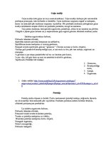 Prakses atskaite 'Tehnoloģisko iekārtu izmantošanas nosacījumi ēdināšanas uzņēmumos', 7.