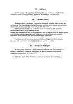 Prakses atskaite 'Tehnoloģisko iekārtu izmantošanas nosacījumi ēdināšanas uzņēmumos', 12.