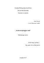 Referāts 'Kultūras tipoloģijas veidi', 1.