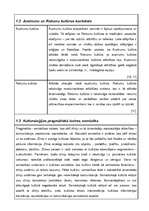 Referāts 'Kultūras tipoloģijas veidi', 5.