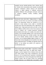 Referāts 'Kultūras tipoloģijas veidi', 7.