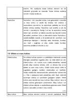 Referāts 'Kultūras tipoloģijas veidi', 8.