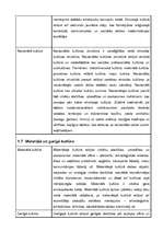 Referāts 'Kultūras tipoloģijas veidi', 10.