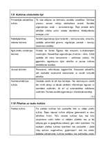 Referāts 'Kultūras tipoloģijas veidi', 12.