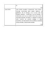 Referāts 'Kultūras tipoloģijas veidi', 13.