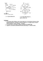 Paraugs 'Refleksi', 2.