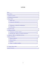 Biznesa plāns 'IK "Pamatsolis"', 2.