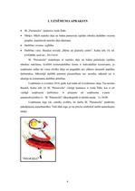 Biznesa plāns 'IK "Pamatsolis"', 4.