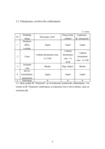 Biznesa plāns 'IK "Pamatsolis"', 9.