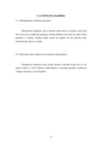 Biznesa plāns 'IK "Pamatsolis"', 12.