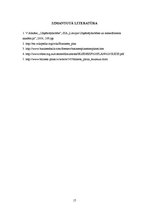 Biznesa plāns 'IK "Pamatsolis"', 18.