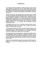 Referāts 'Vedības un kāzas. Salīdzinājums', 5.