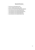 Referāts 'Latviešu valodas lībiskais dialekts', 11.