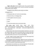 Konspekts 'Goggles', 1.