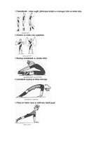 Konspekts '10 sporta vingrinājumi', 1.