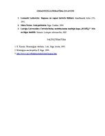 Referāts 'Raganas tēls mūsdienu izpratnē', 5.