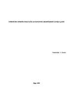 Konspekts 'Sabiedrisko attiecību loma krīžu un katastrofu menedžmentā lielā uzņēmumā', 1.