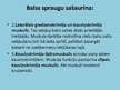 Prezentācija 'Balsene', 7.