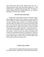 Referāts 'Lobisms. Eiropas Savienība un Latvijas iespējas tajā', 6.